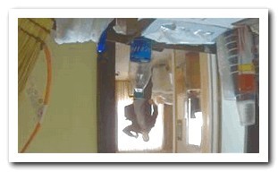 Hidden Cameras Installed in Cars